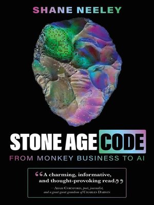 cover image of Stone Age Code